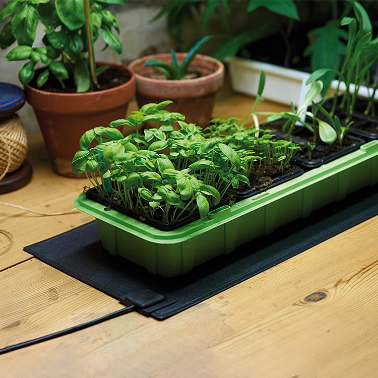 Grow Lights and Heat Mats How They Work Together to Boost Your