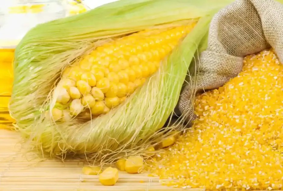 Corn Gluten Meal Your Natural Fertilizer and Herbicide Guide South Elmonte Hydroponics