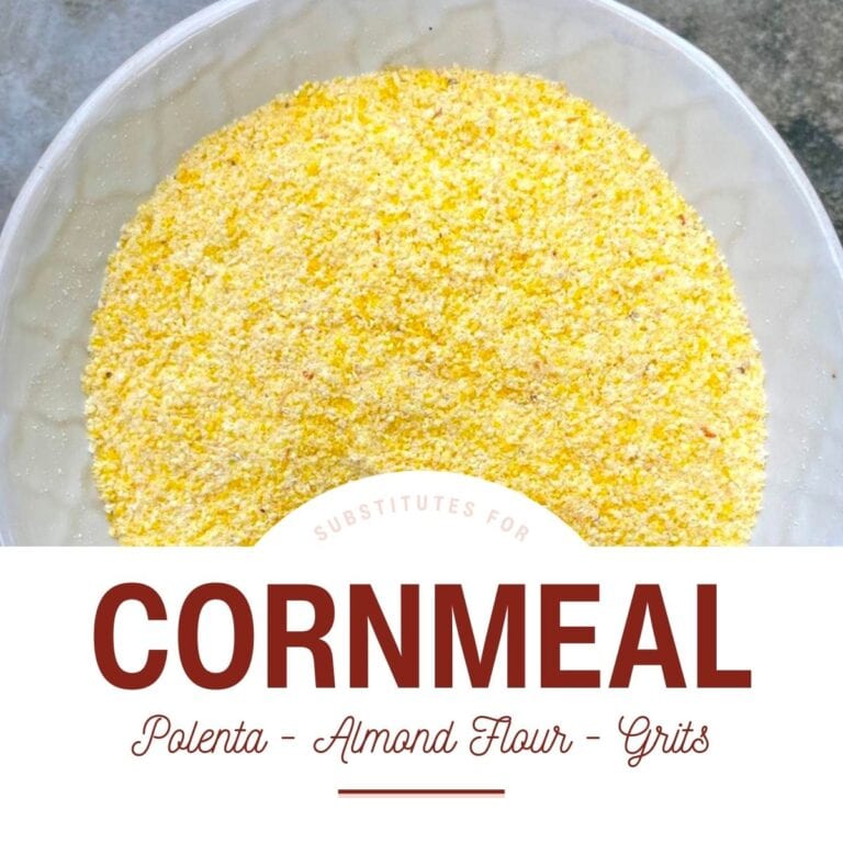 10+ Delicious Cornmeal Substitutes Southern Bytes