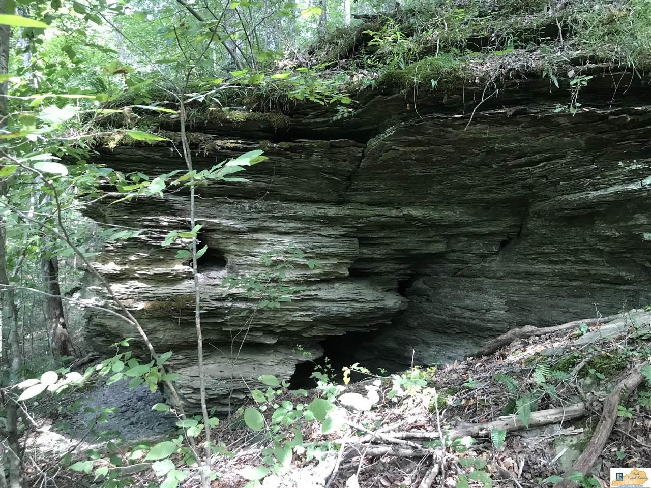 849 Harm Shelton Road Columbia, Kentucky 42728 Southern Nest Realty