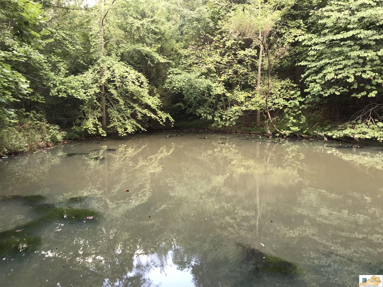 849 Harm Shelton Road Columbia, Kentucky 42728 Southern Nest Realty