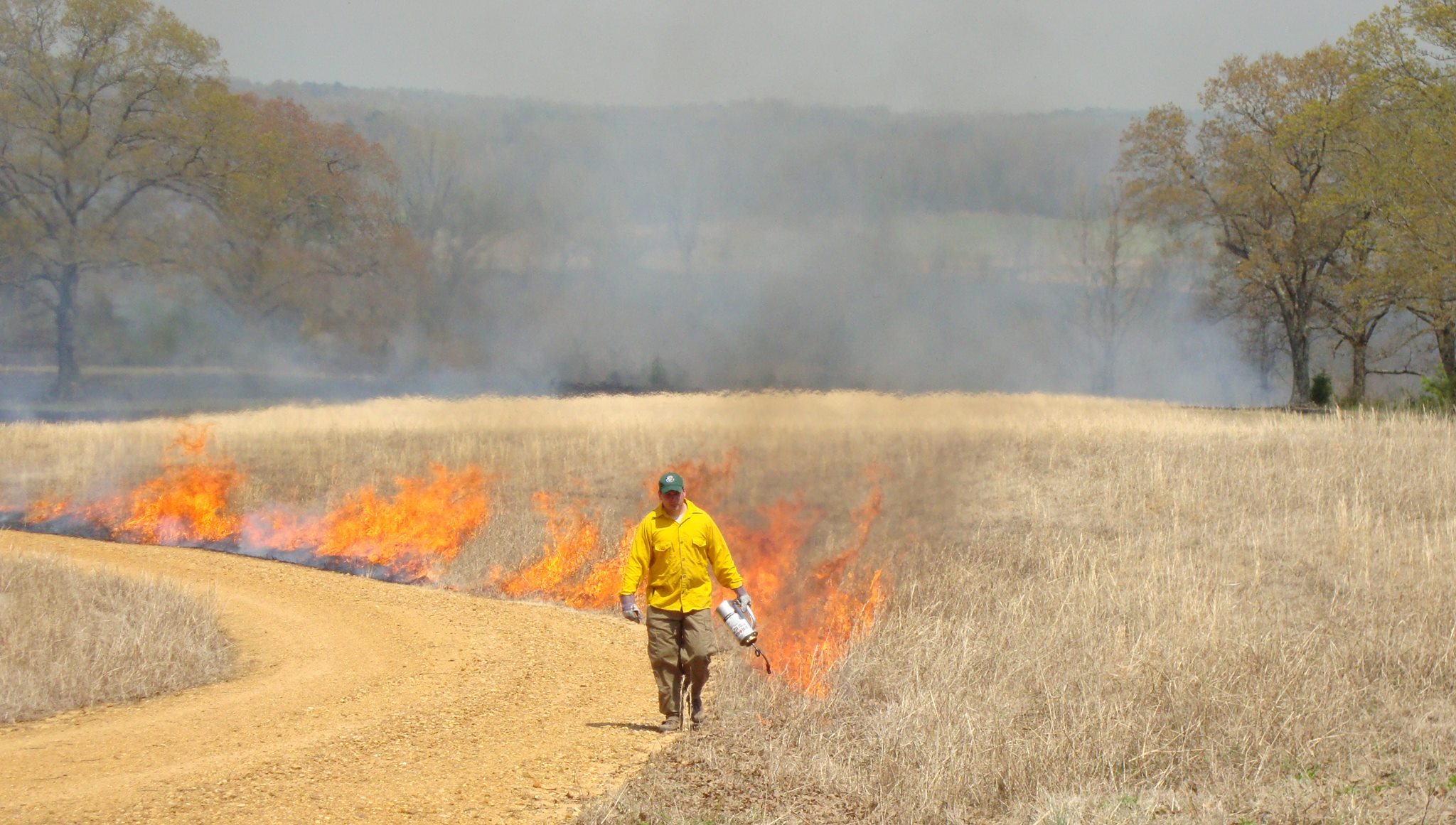 All About Prescribed Burning Southern AgCredit