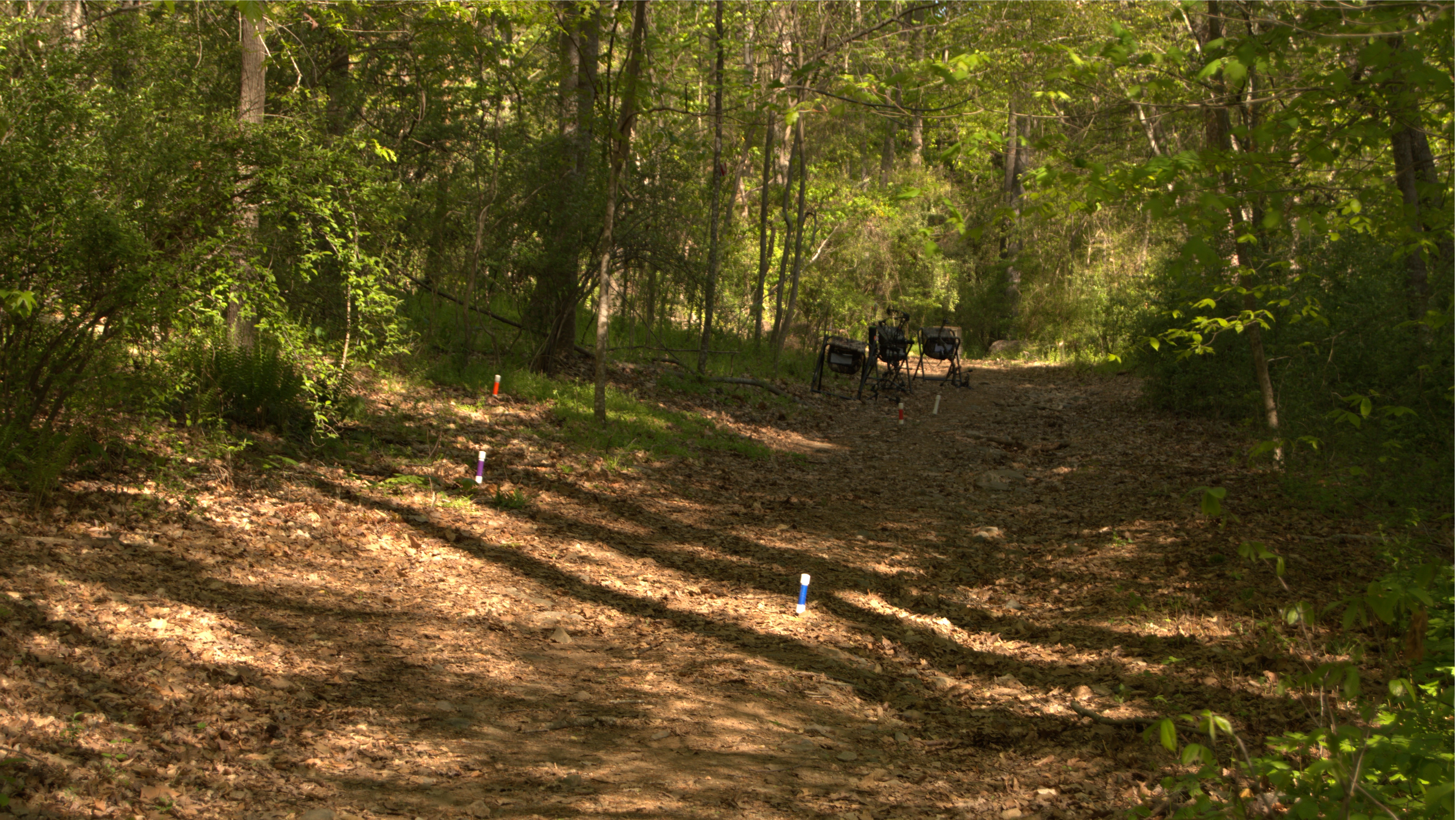 Southern Archery Circuit Home