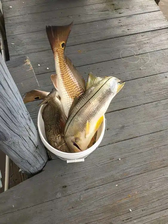 Florida’s Last Frontier Chokoloskee Southern Boating