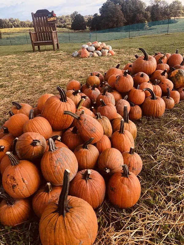 Lloyd's Family Farm Southern Boone County Area Chamber of Commerce
