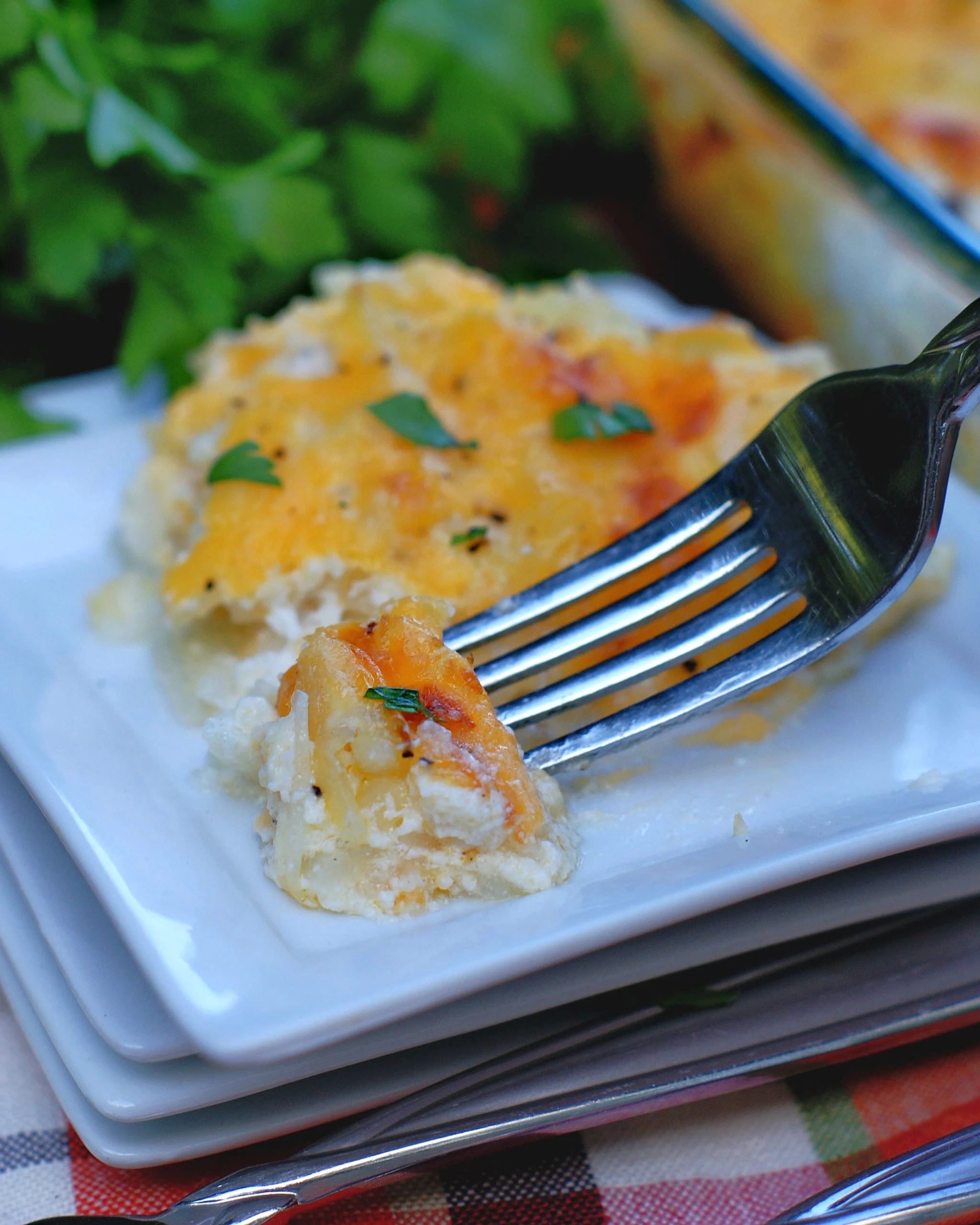 Easy, Cheesy Hashbrown Casserole (no canned soup) Southern Discourse