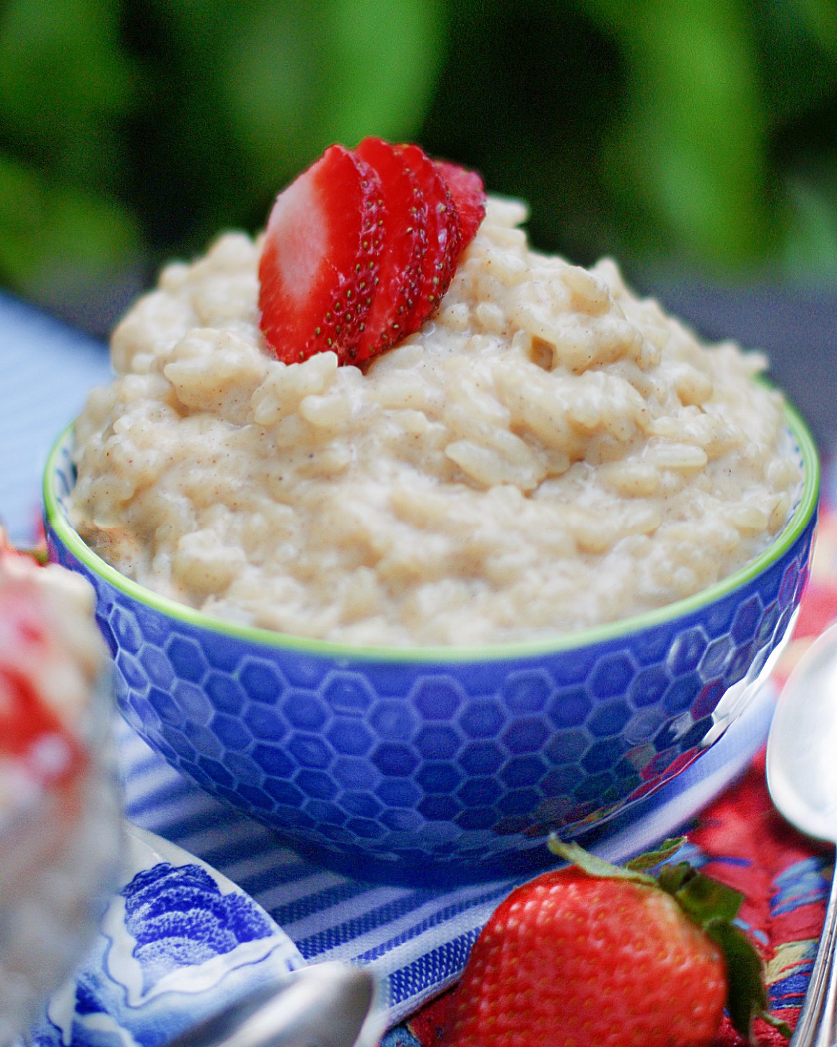 Quick Old Fashioned Rice Pudding southern discourse