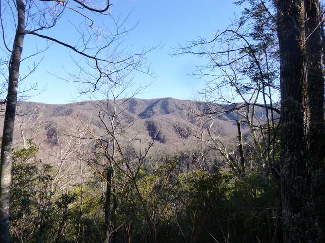 Spence Field 2/22/14