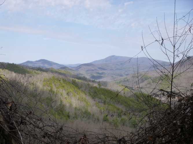 Spence Field 2/22/14