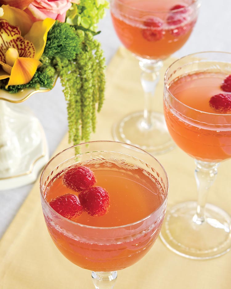 Sparkling Raspberry Punch Southern Lady Magazine