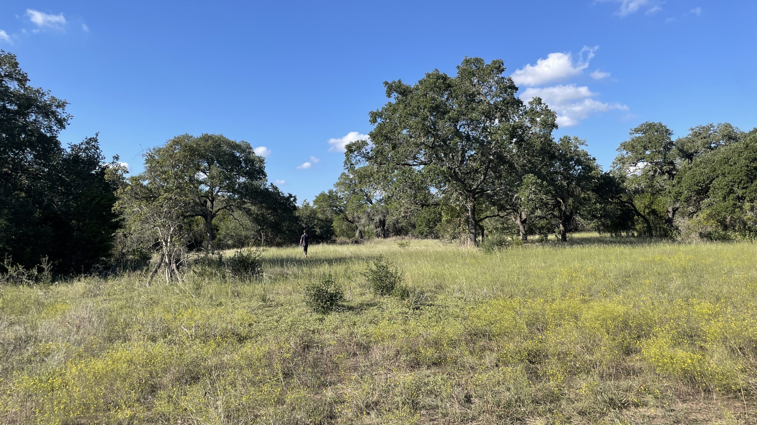 Southern Land Company to Develop Luxury Home Community in Dripping