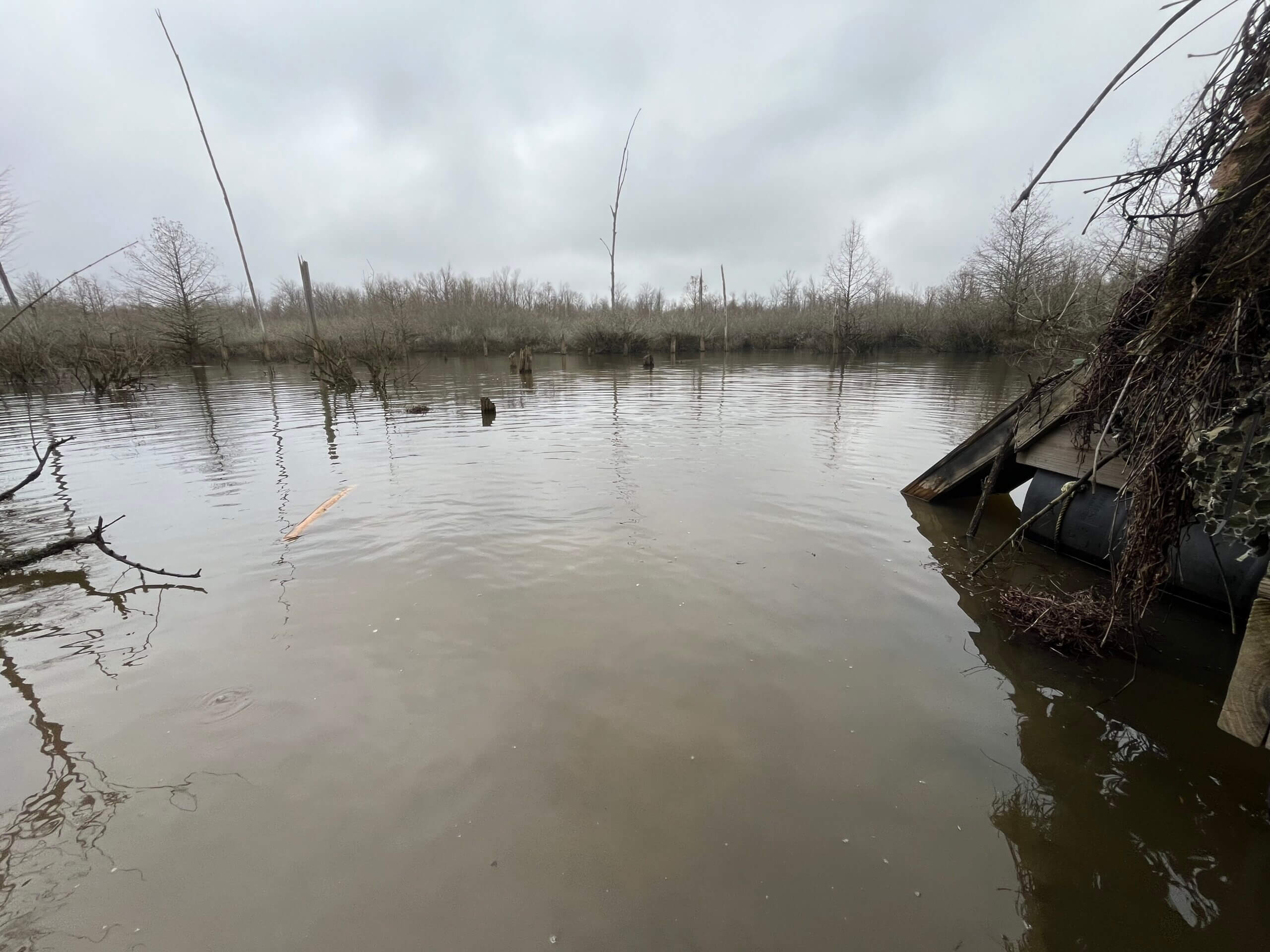 360+/ acres Timber Hunting along Hatchie River Southern Land Company