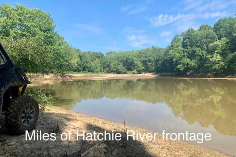 360+/ acres Timber Hunting along Hatchie River Southern Land Company