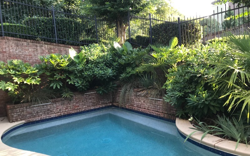 Landscape Installation in Buckhead Atlanta, GA Southern Landscape