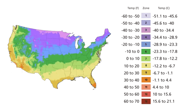 Usda Zones For Plants Cold-Hardy Plants