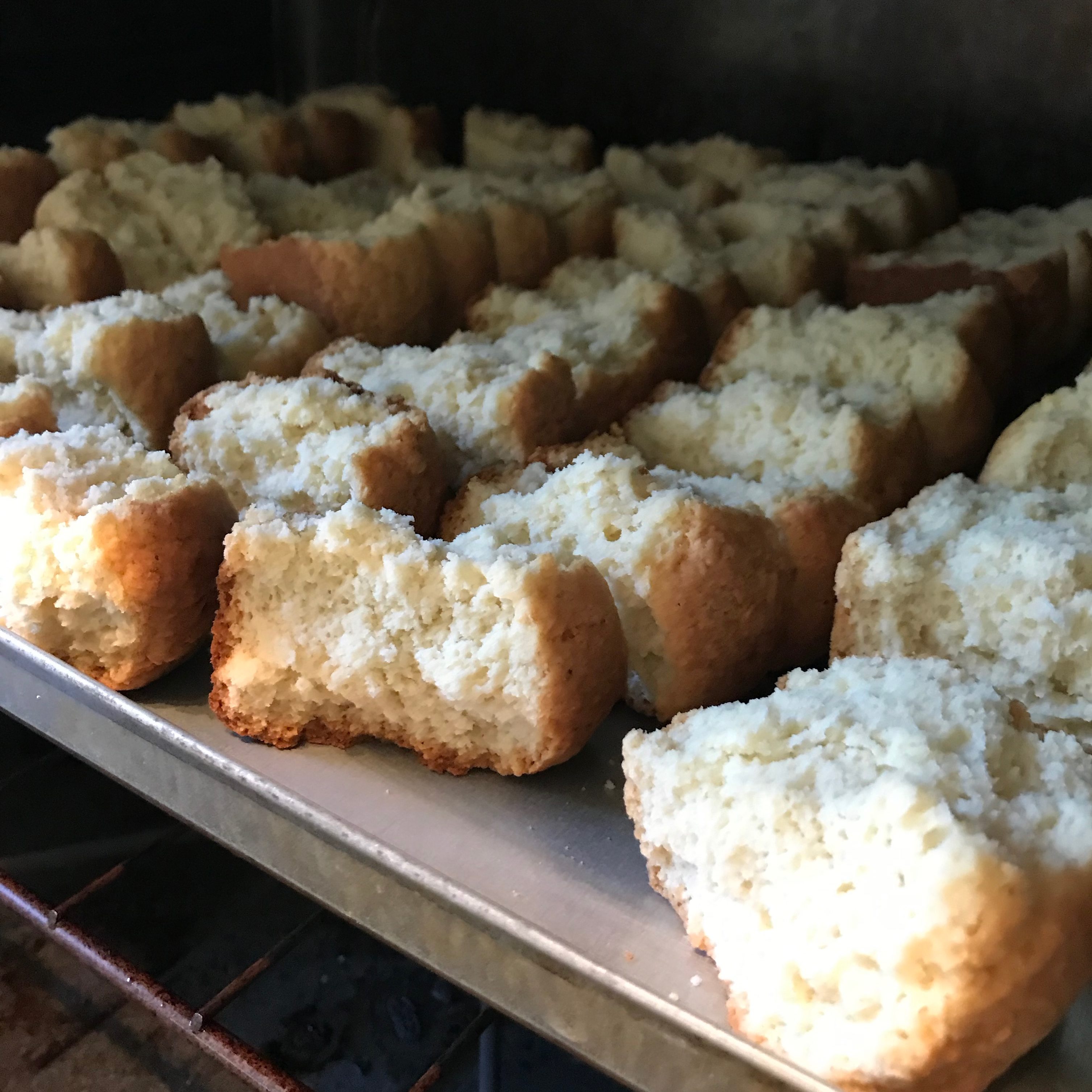 Buttermilk Rusks Southern Protea