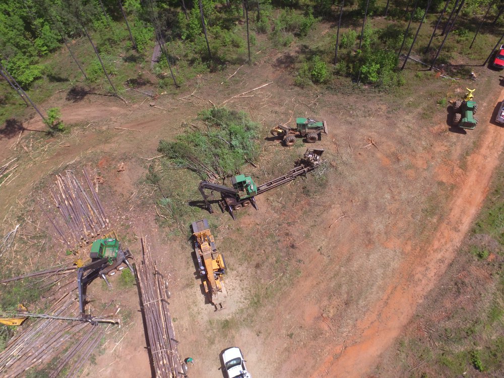 Clearing Southern Site Works