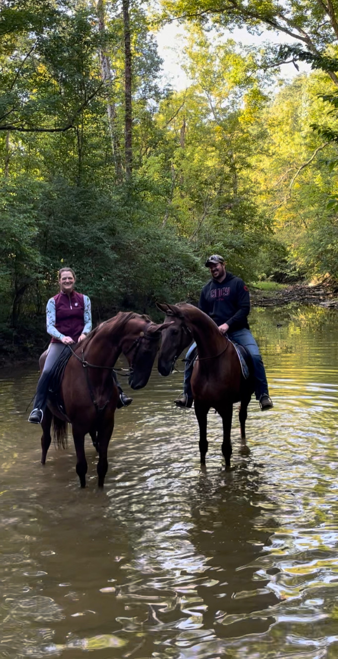 Southern Sky Stables Horseback Riding Lessons and Training Northern