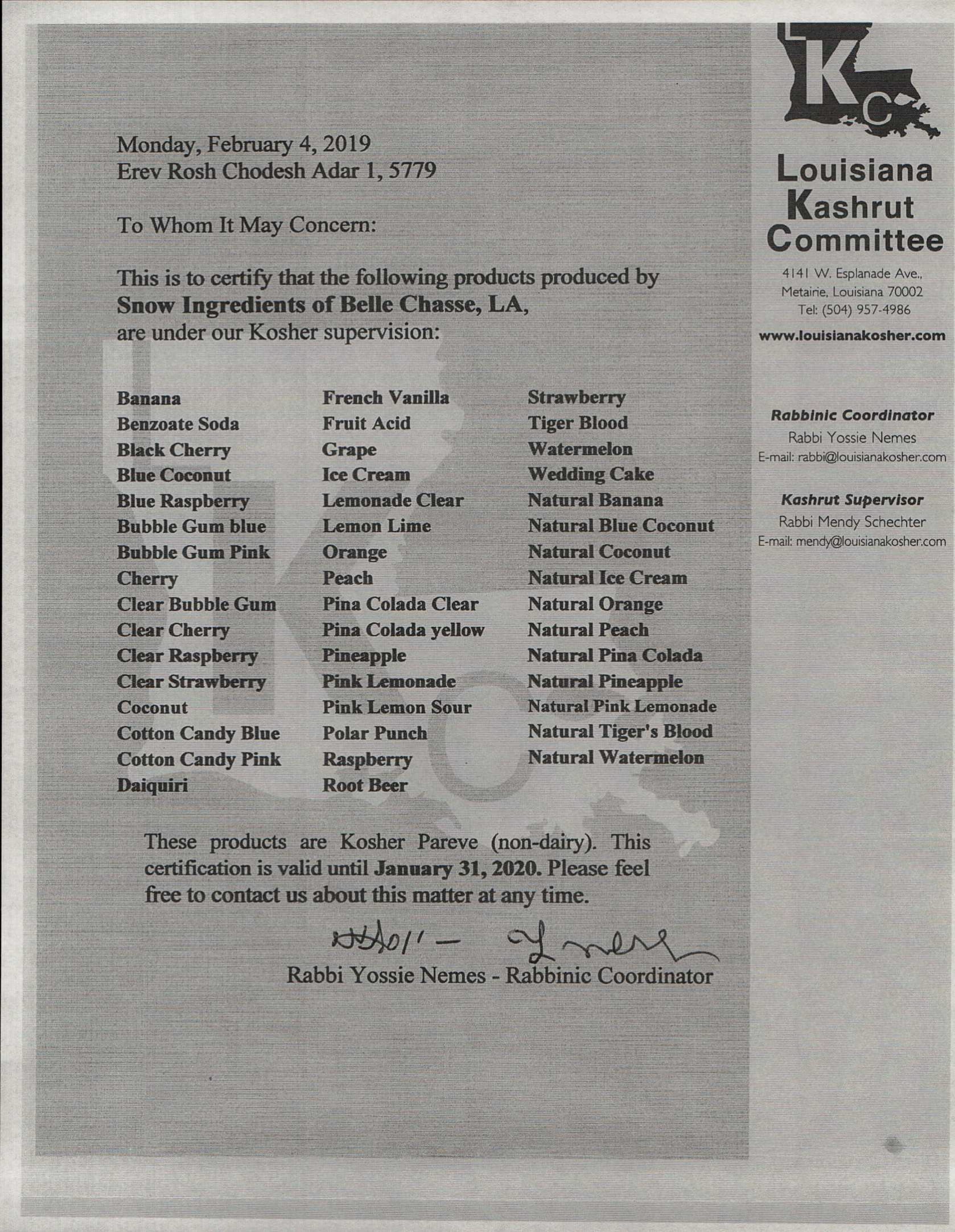 +800.393.8933+Southern+Snow+Shaved+shave+Ice+Machine+Machines+Hawaiian