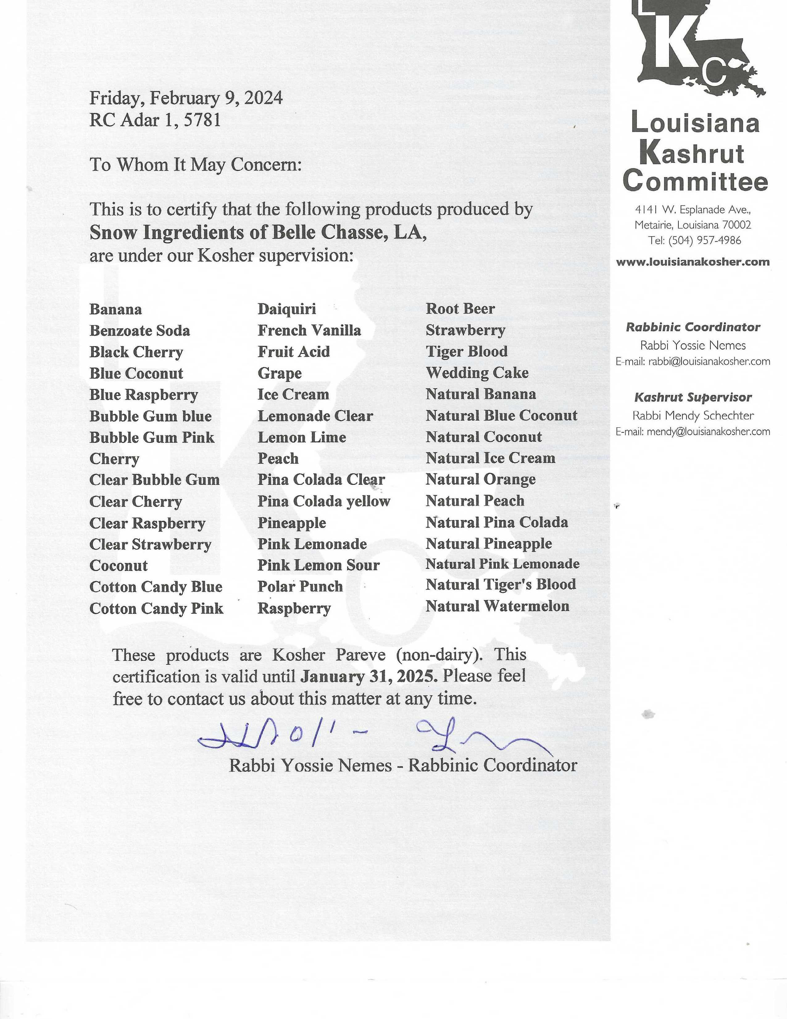 +800.393.8933+Southern+Snow+Shaved+shave+Ice+Machine+Machines+Hawaiian