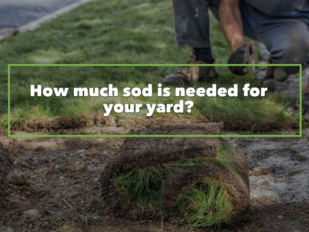 How Much Sod is Needed for Your Yard? Southern Sodgrass