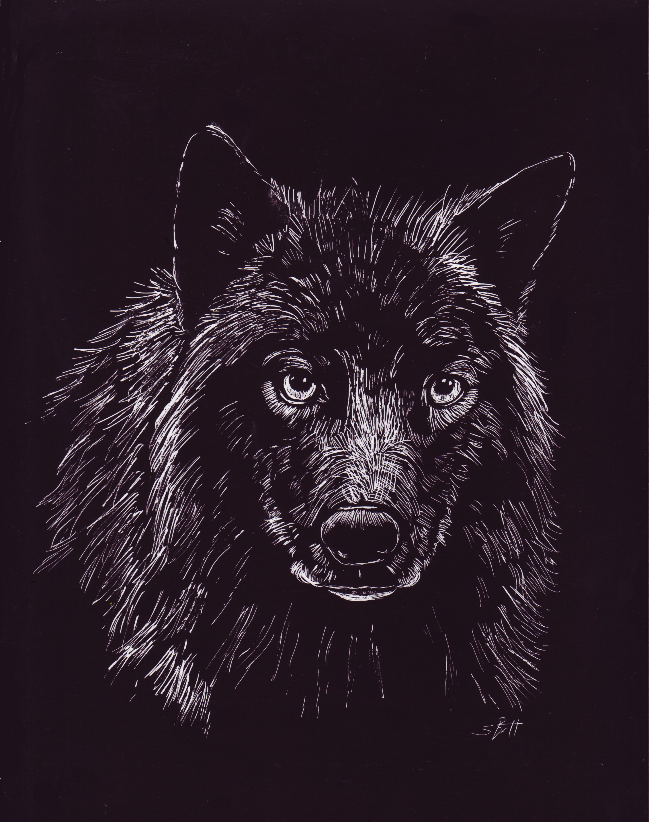 Scratchboard Paint and Pencils