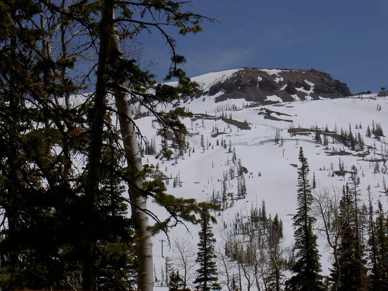 Southern Utah Real Estate, Mountain Property, Cabins for sale in Duck