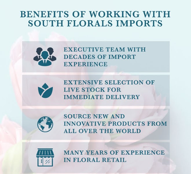 South Florals Group Announces The Launch of New Floral Import Division
