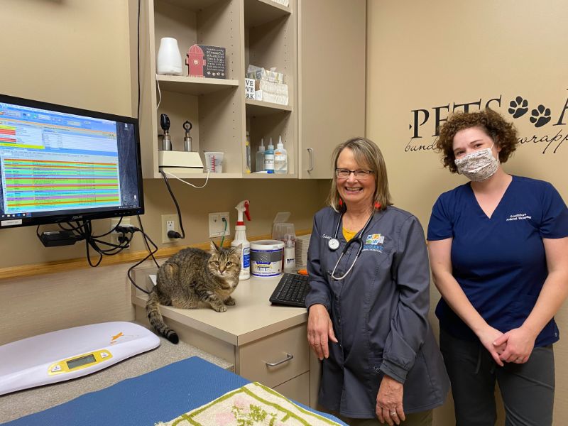 Patient Photo Gallery Southfork Animal Hospital Lakeville, MN Vet