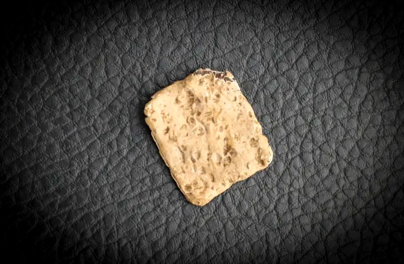 Blog 292 Archaeology Confirms the Bible (Yet, Again) Southgate