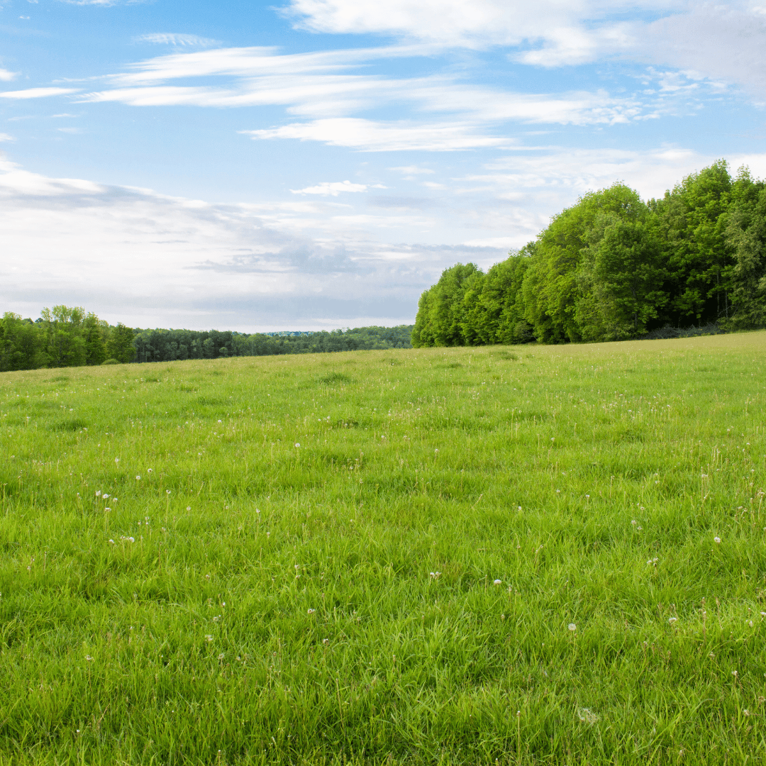 Developer Approved for 116Unit Senior Complex South Jersey Land For Sale