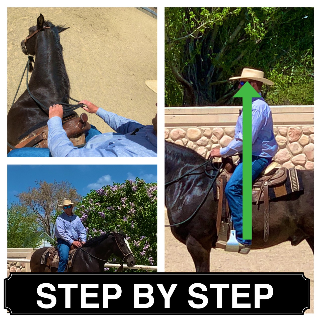 South Jordan Utah Horse Riding Lessons Family Owned Professional