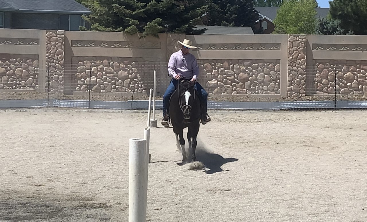 activity LLPP South Jordan Utah Horse Riding Lessons