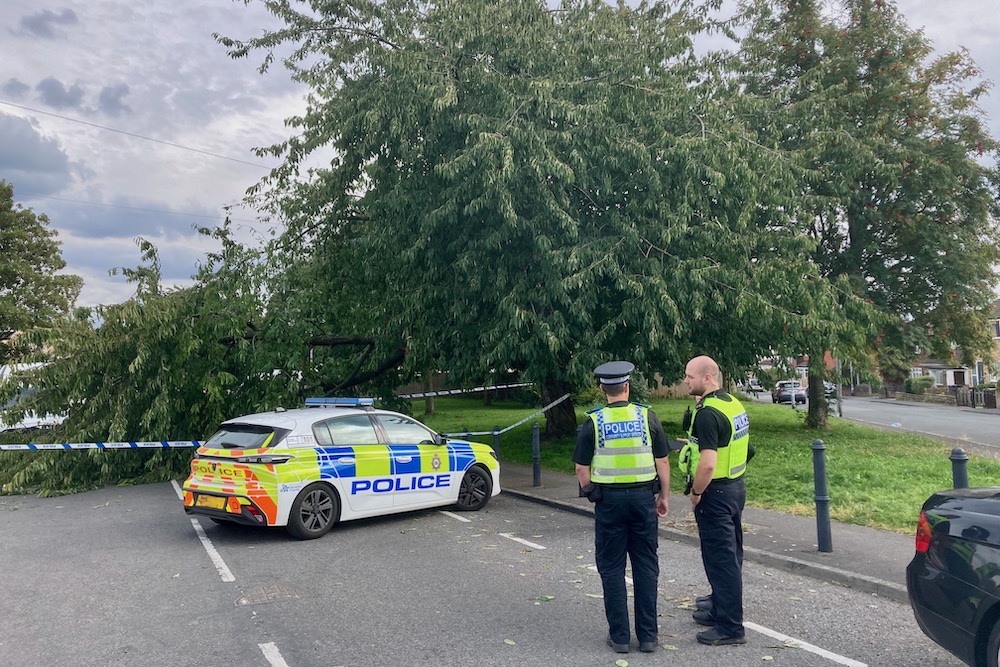 Falling branch closes Barkly Road South Leeds Life