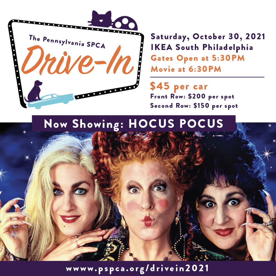 SPCA host drivein movie night at IKEA South Philly Review