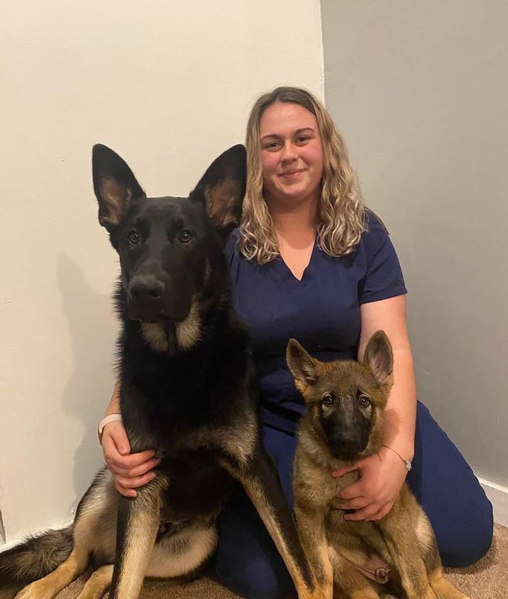 Experienced Veterinarians Animal Hospital in Indianapolis