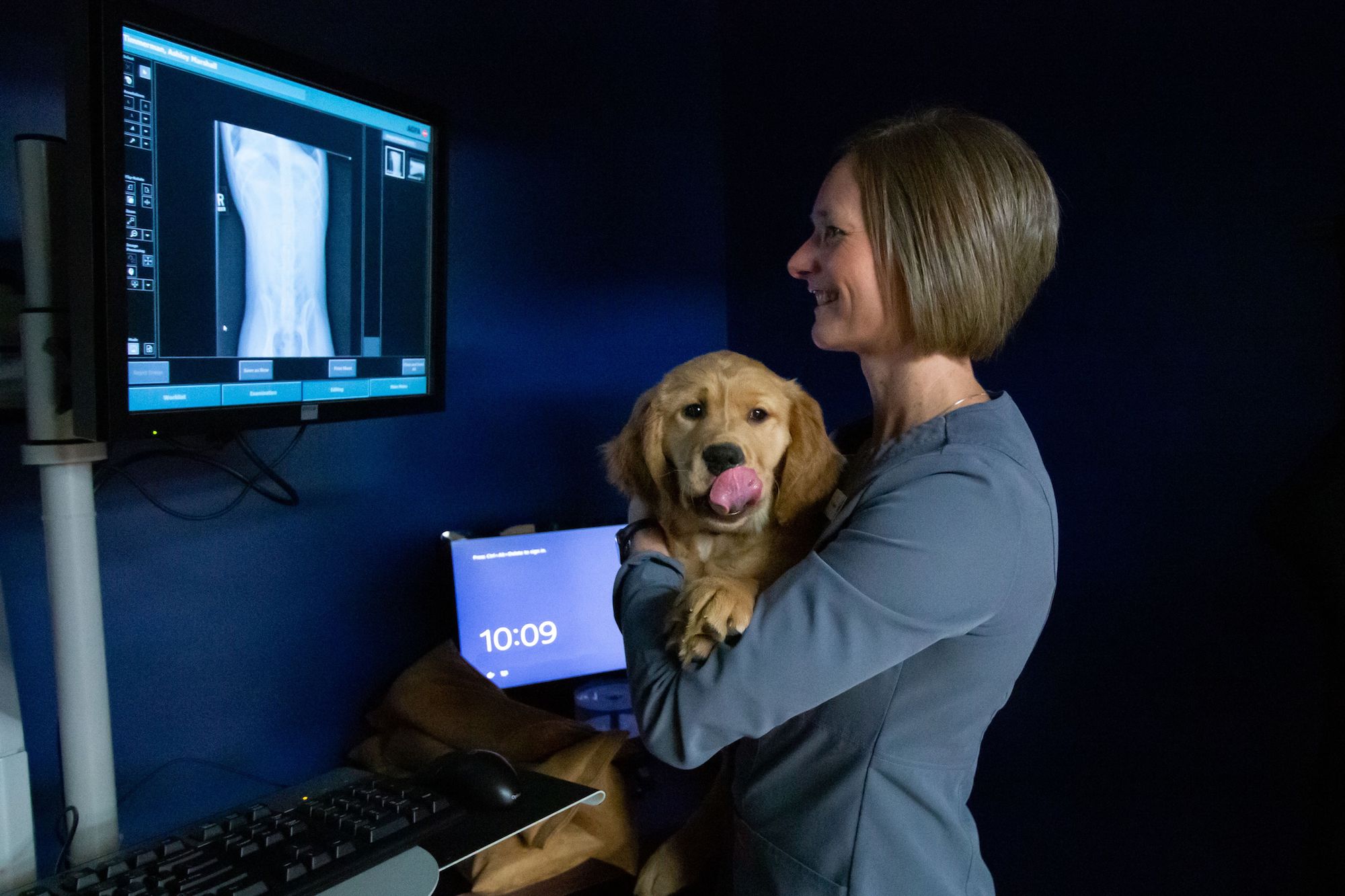 37 Best Images Southside Pet Clinic / Microchipping Southside