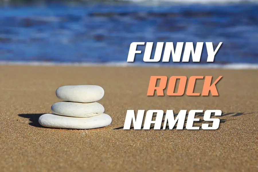 280+ Funny Rock Names A Playful Guide to Naming Pet Rock South Slope
