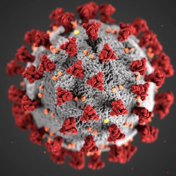 Virus Mutation Overwhelms Stimulus Bill SouthState