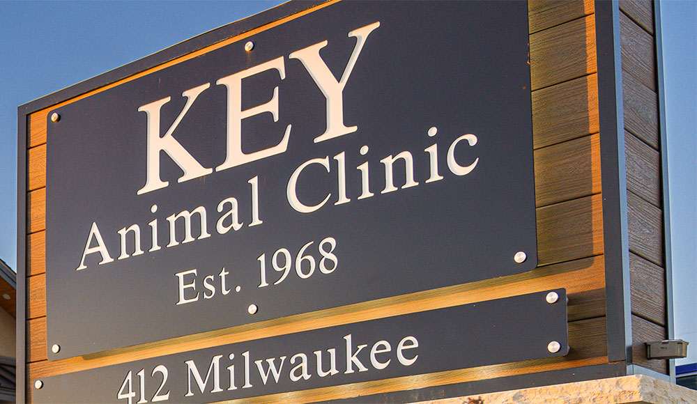 Key Animal Clinic SouthTech Construction