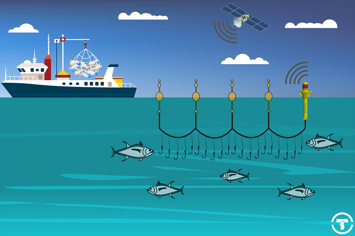 SouthTEK Pelagic LongLine