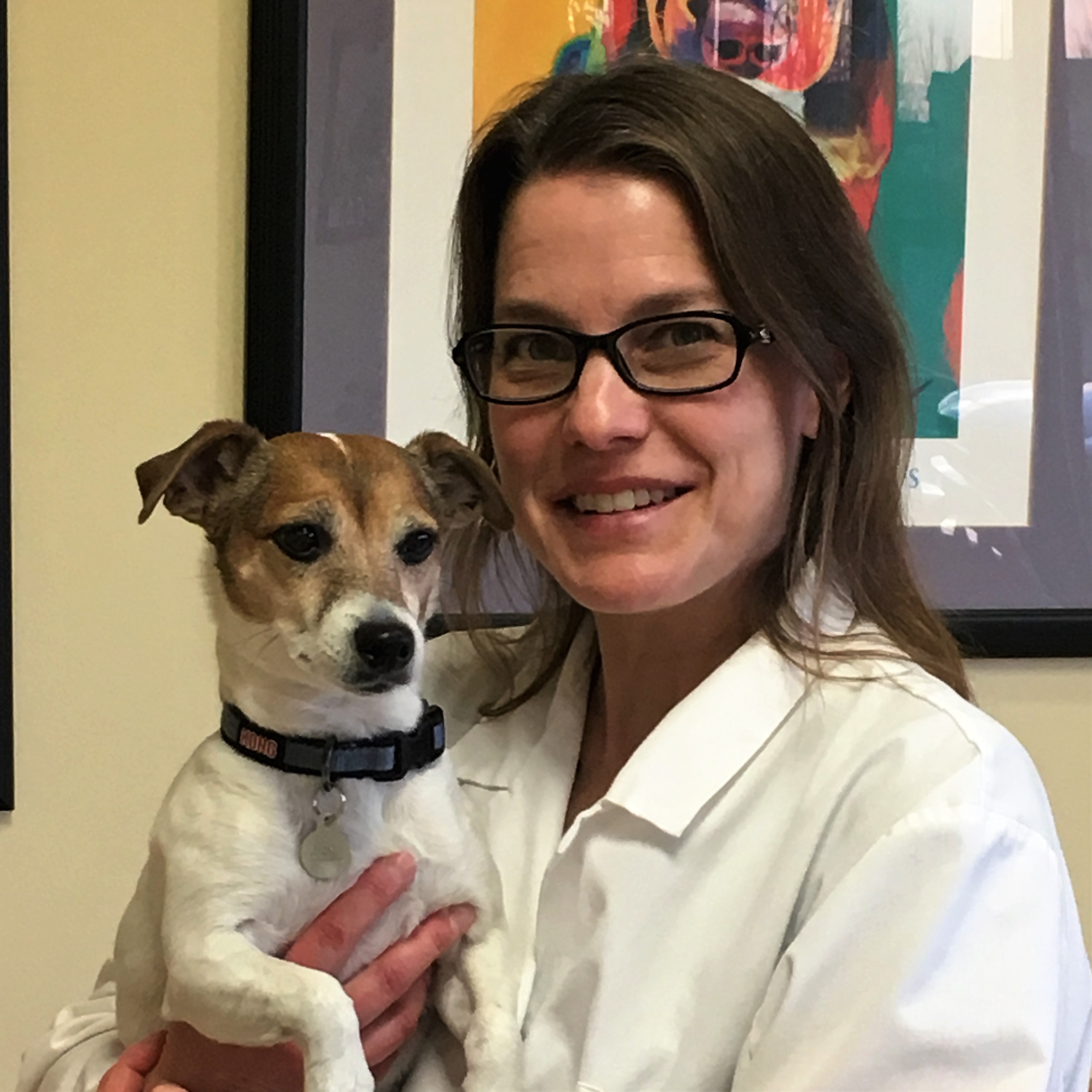 IMG_6620 South Town Animal Hospital South Elgin vet