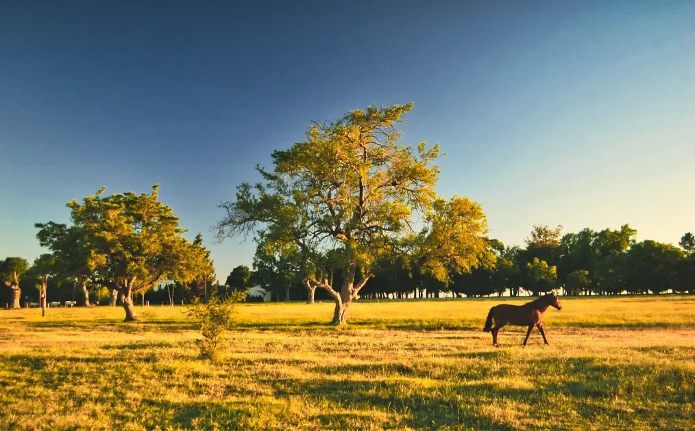 Die 10 besten Uruguay Sehenswürdigkeiten, Tipps & Highlights