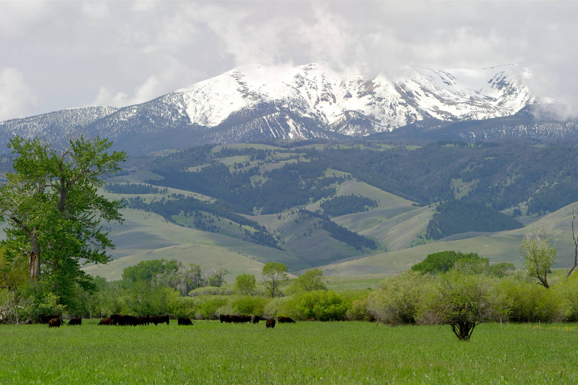 Harrison Lake Harrison, MT Southwest Montana