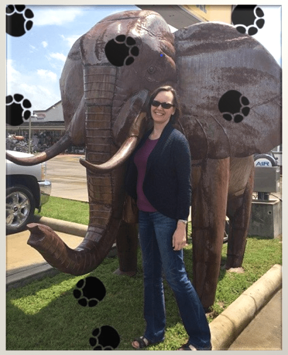 About Us Southwest Veterinary Dermatology