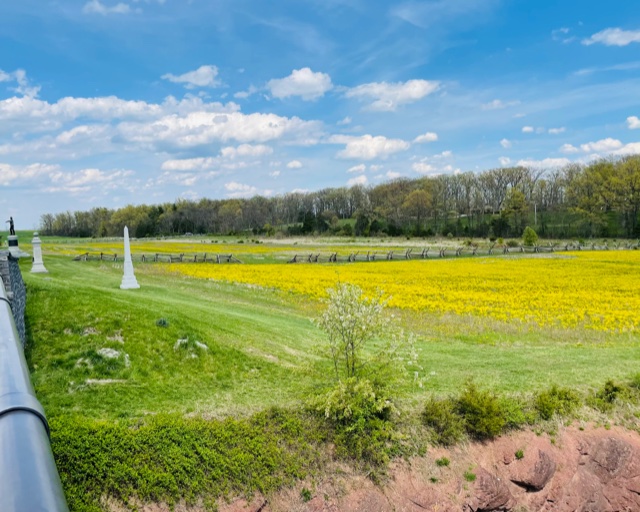 gettysburg spring muster 2023 Gettysburg, Reborn Spring on the Battlefield South Writ Large