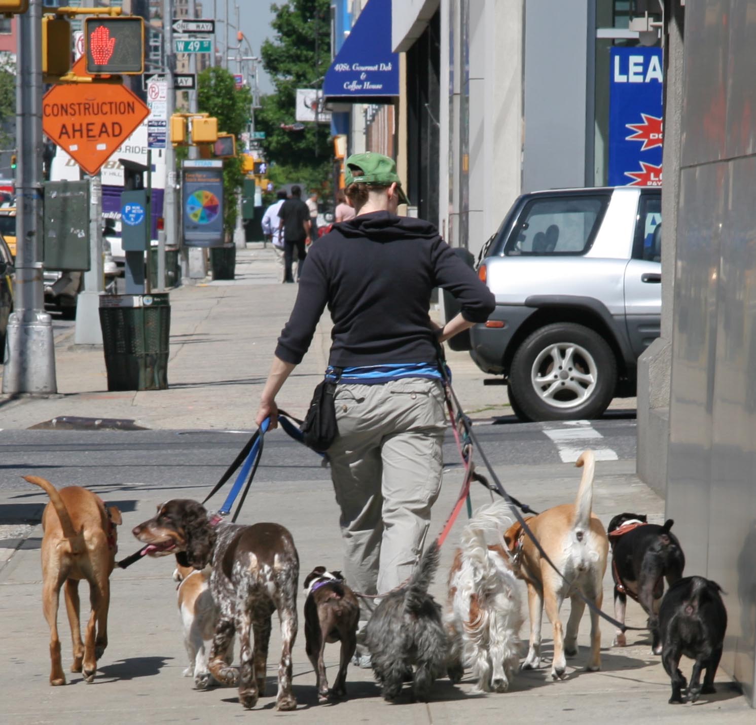 Выгулять собаку за деньги сколько можно заработать —