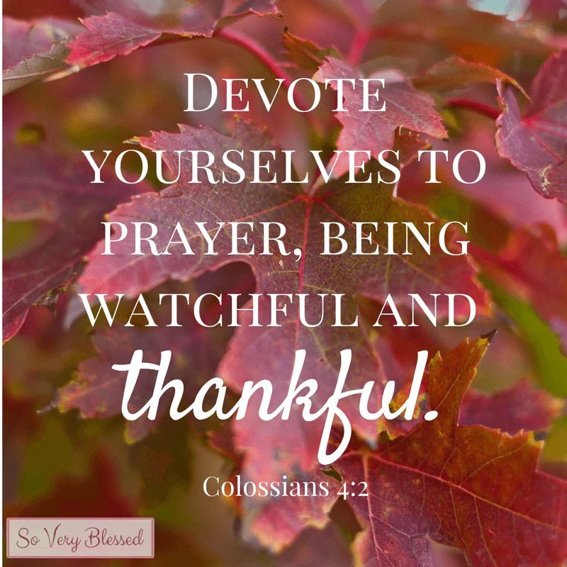 15 Bible Verses on Thankfulness