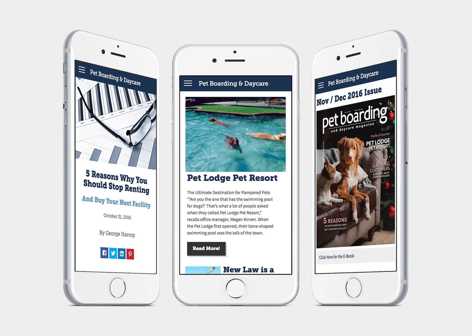 Pet Boarding & Daycare Magazine Sovierro Design Agency