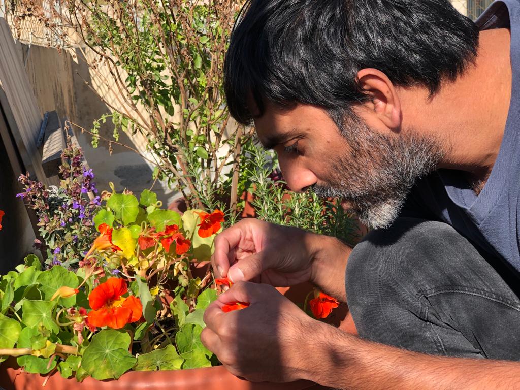 أهمية الزراعة في 2021 سبعة أسباب لزراعة حديقة عضوية